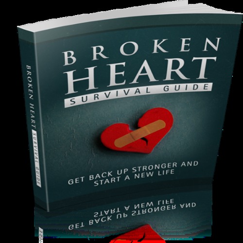 Product picture Broken Heart Survival Guide
